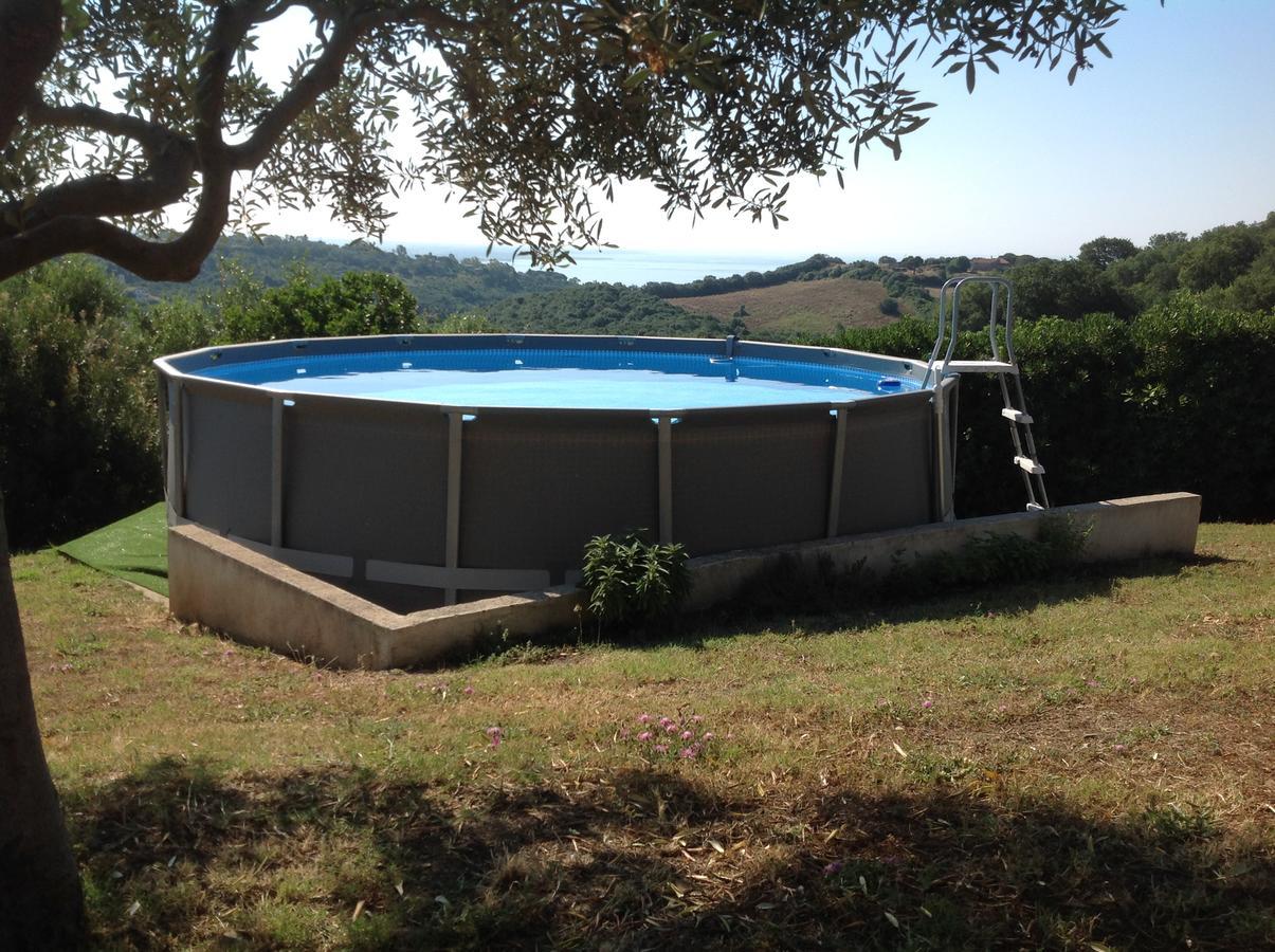 Bed & Breakfast La Volpe E L'Uva Santa Marinella Exterior foto